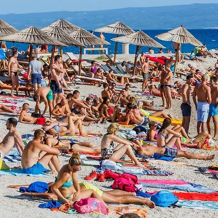 Apartment With Wifi - 15541 *